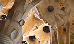 Sagrada Familia ceiling